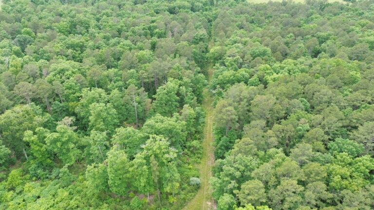 DCIM100MEDIADJI_0190