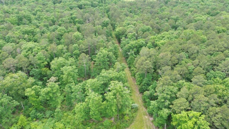 DCIM100MEDIADJI_0191