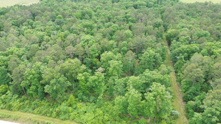 DCIM100MEDIADJI_0192