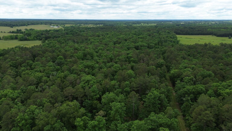 DCIM100MEDIADJI_0193