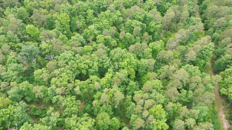 DCIM100MEDIADJI_0194