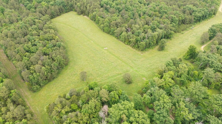 DCIM100MEDIADJI_0196