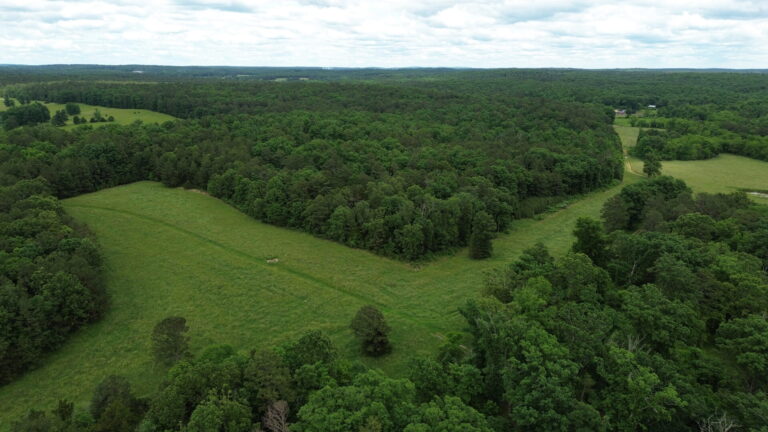 DCIM100MEDIADJI_0197