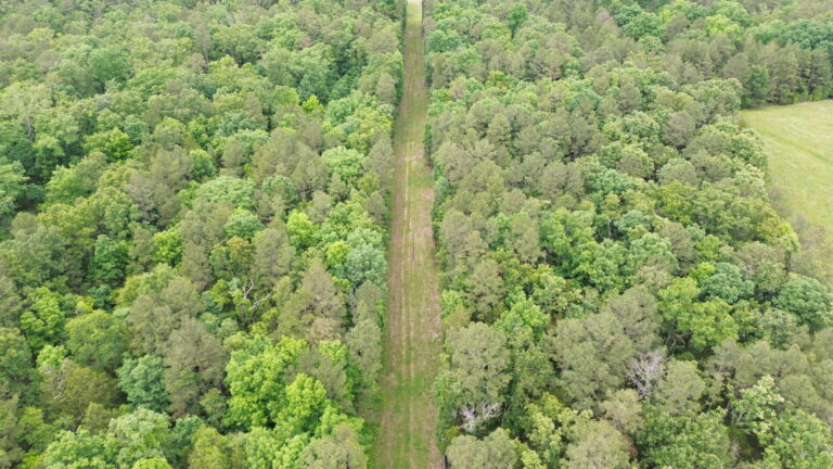 DCIM100MEDIADJI_0198