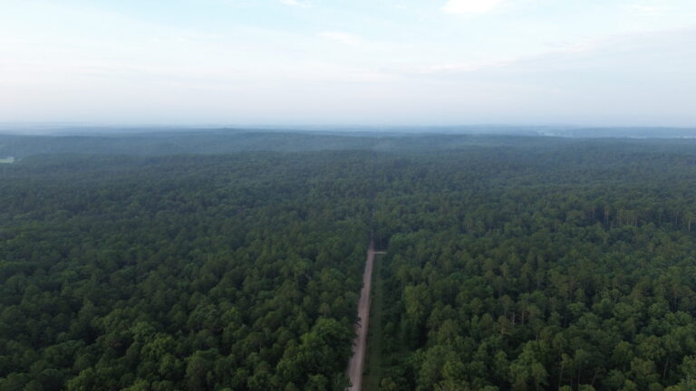 DCIM100MEDIADJI_0268