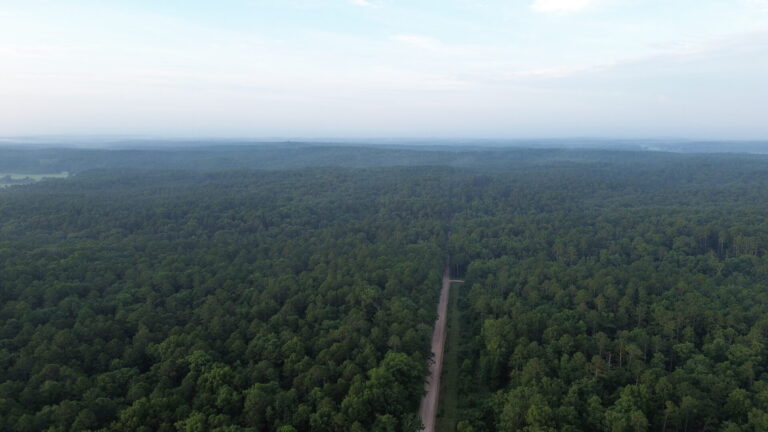 DCIM100MEDIADJI_0269