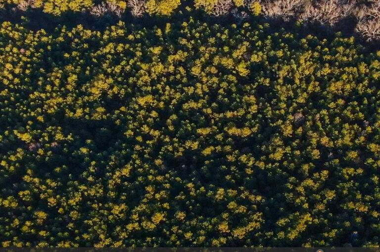 Screenshot 2025-01-21 123504