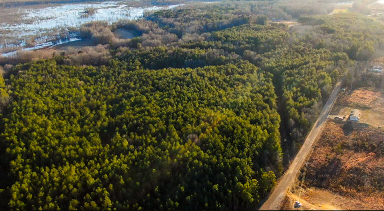 Screenshot 2025-01-21 123742