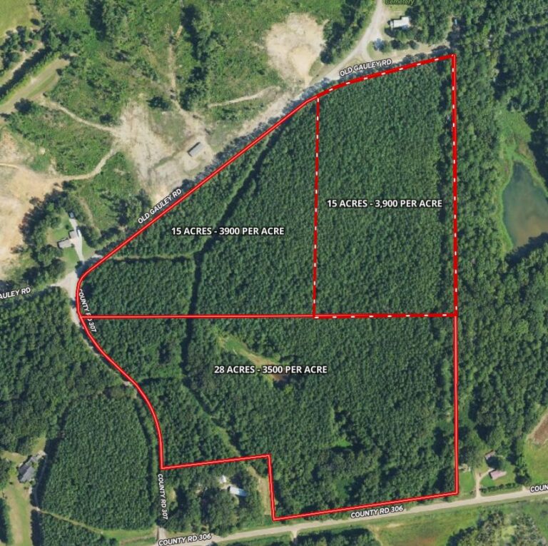 Screenshot 2025-02-04 183717