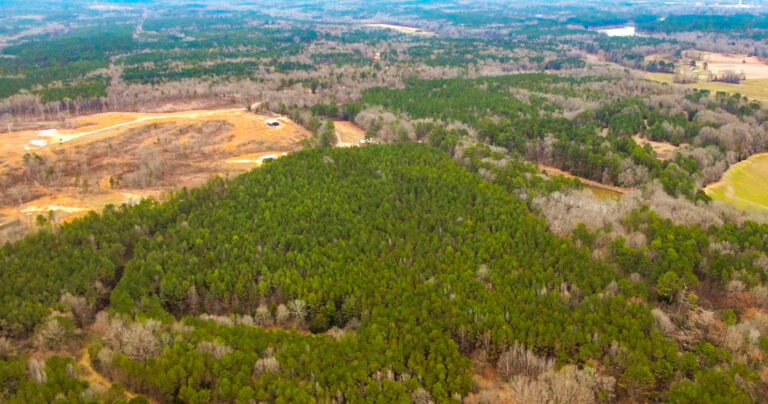 Screenshot 2025-02-11 073840(1)