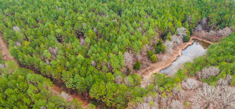 Screenshot 2025-02-11 074441(1)