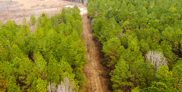 Screenshot 2025-02-11 074537(1)