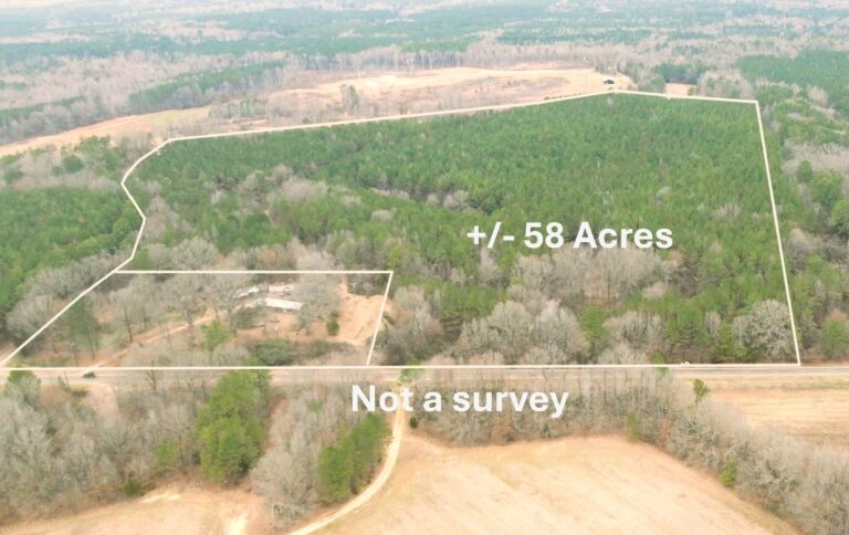 Screenshot 2025-02-11 091854(1)hhhh666(1)