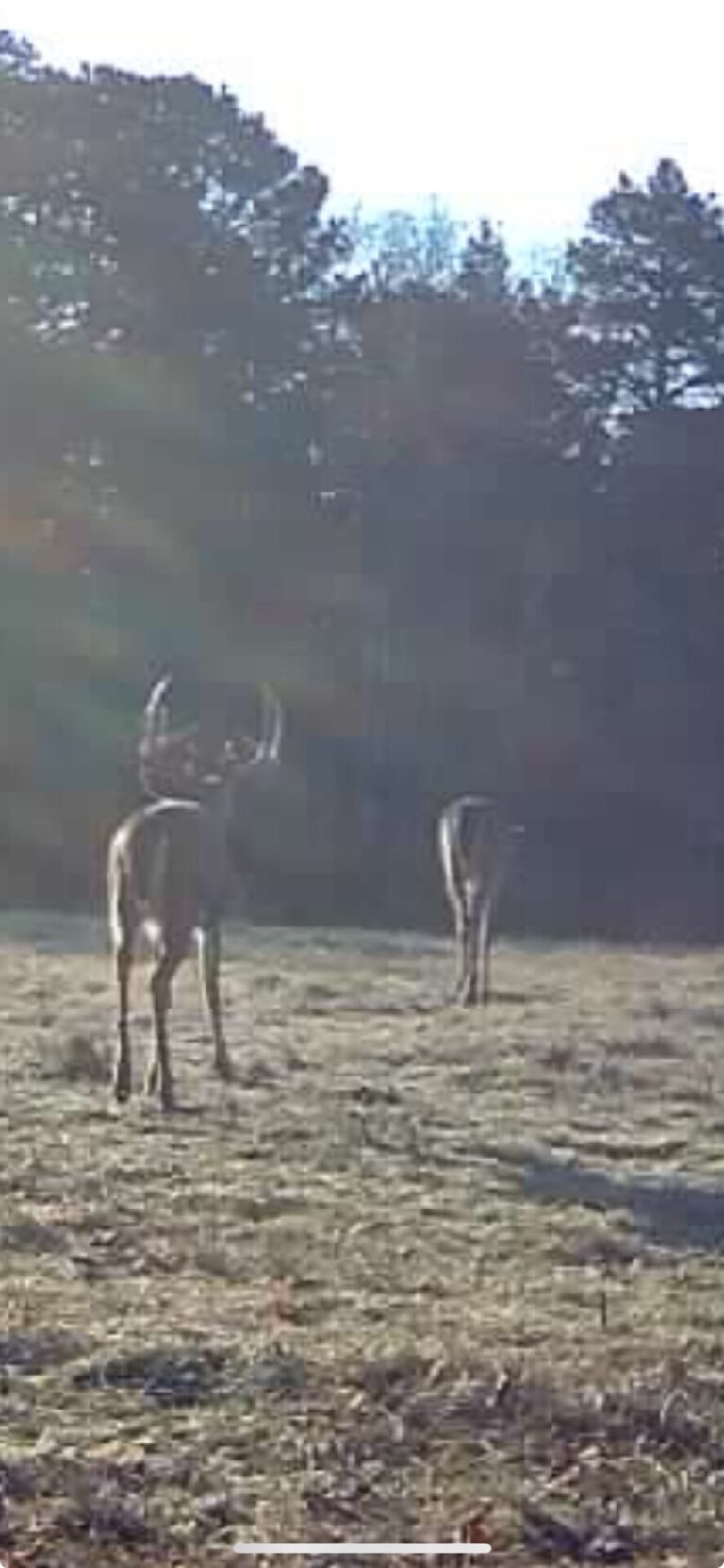 Screenshot 2025-02-24 at 11.13