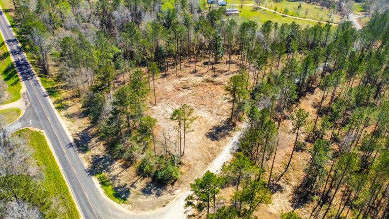 DCIM101MEDIADJI_0691