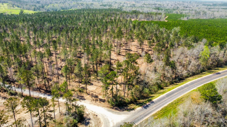 DCIM101MEDIADJI_0692