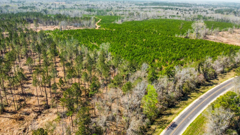 DCIM101MEDIADJI_0693