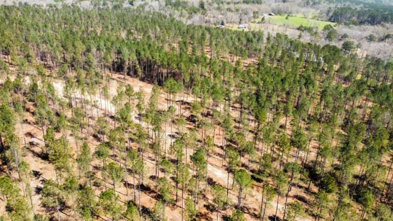 DCIM101MEDIADJI_0705