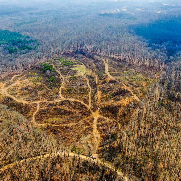 Copy of Copy of Untitled Design - 1