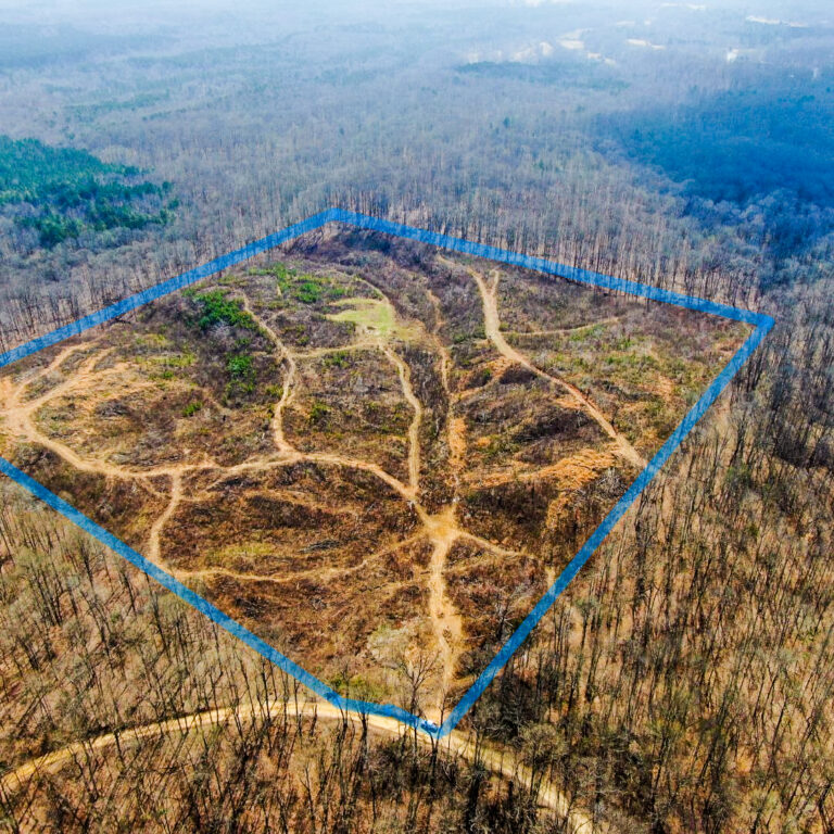 Copy of Copy of Untitled Design(1)2