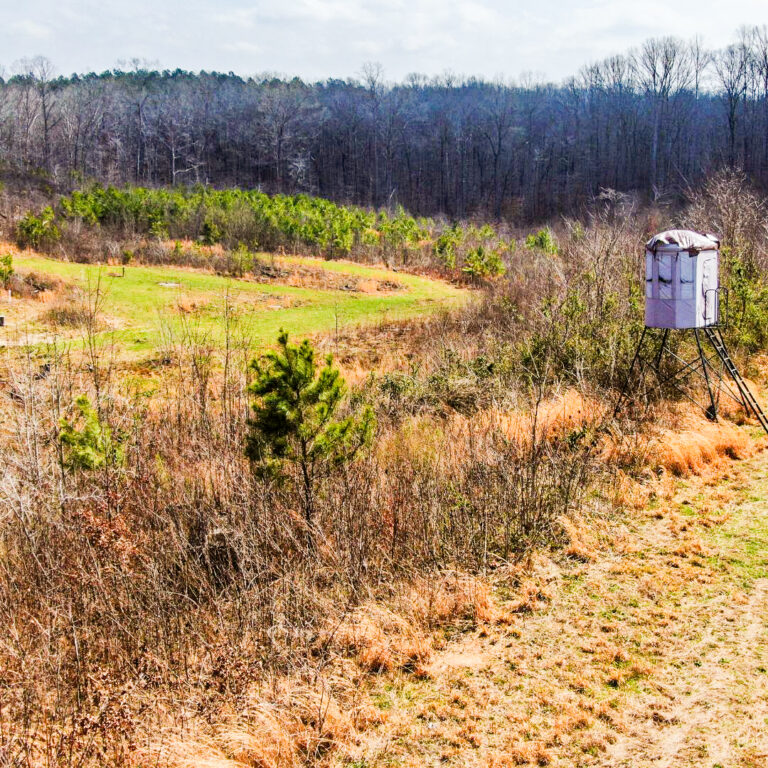 Copy of Copy of Untitled Design - 1