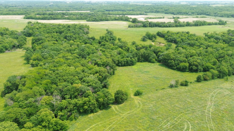 DCIM100MEDIADJI_0226