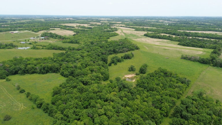 DCIM100MEDIADJI_0232