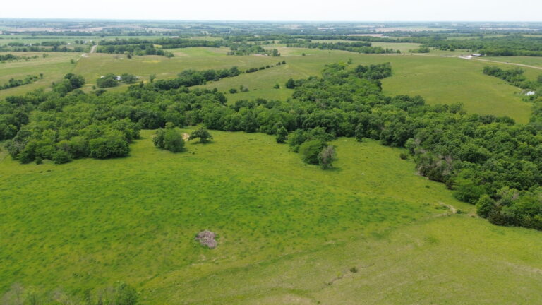 DCIM100MEDIADJI_0233