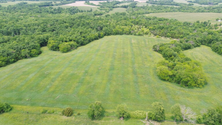 DCIM100MEDIADJI_0250