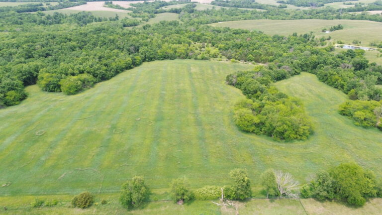 DCIM100MEDIADJI_0251