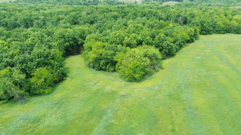 DCIM100MEDIADJI_0254