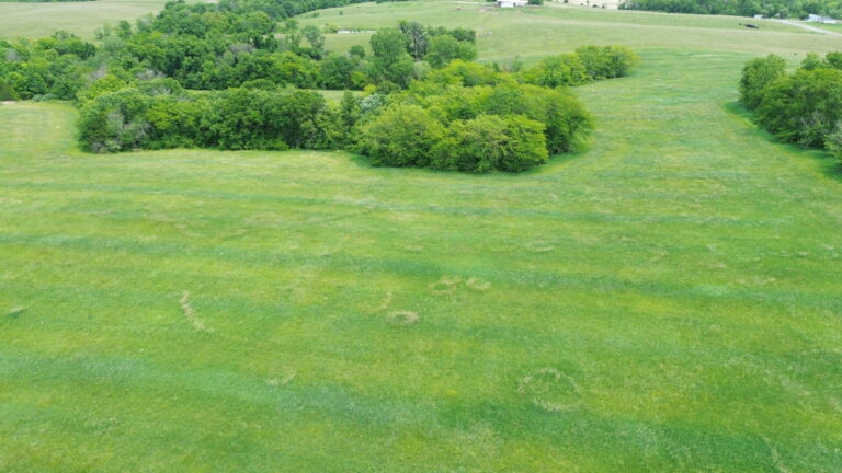 DCIM100MEDIADJI_0255