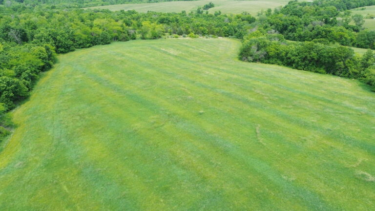 DCIM100MEDIADJI_0256