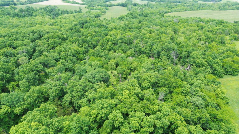 DCIM100MEDIADJI_0257