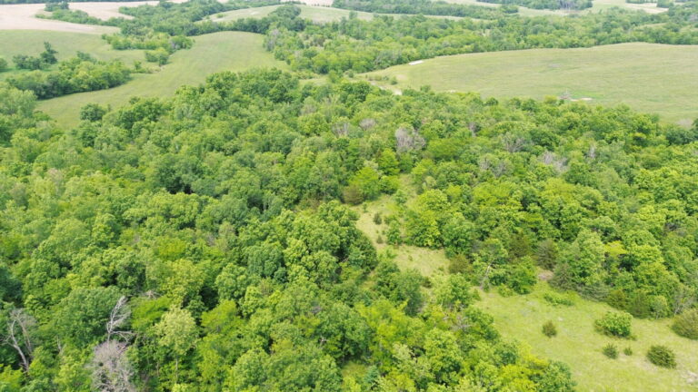 DCIM100MEDIADJI_0258