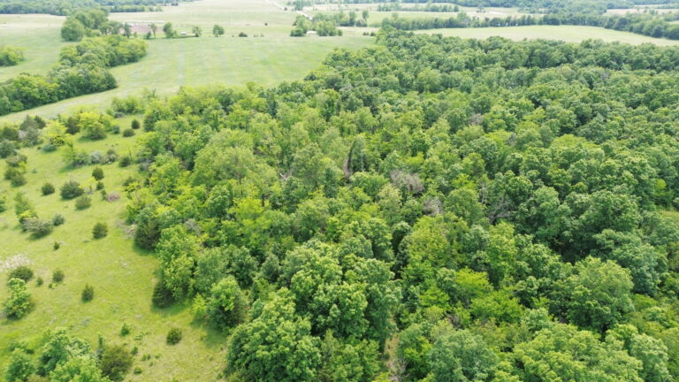 DCIM100MEDIADJI_0260