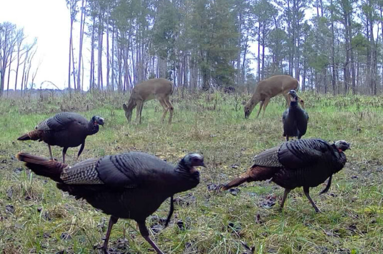 IMG_2451
