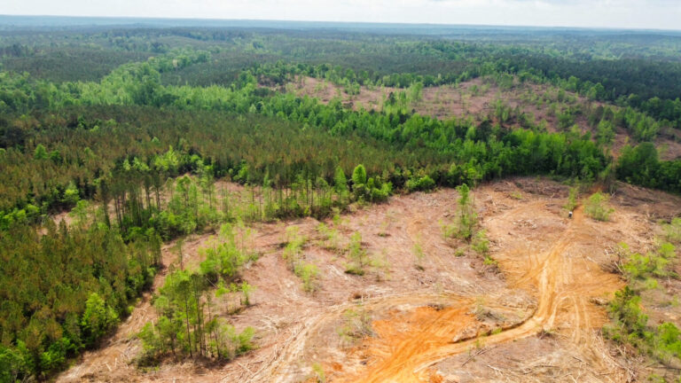 DCIM101MEDIADJI_0764