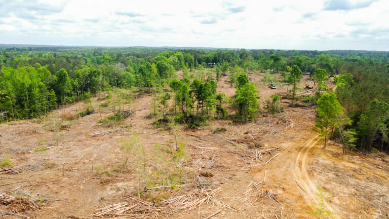 DCIM101MEDIADJI_0763