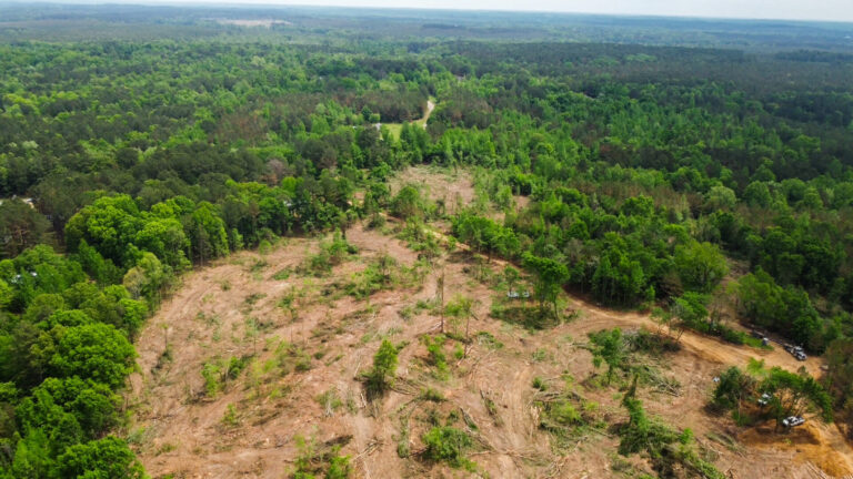 DCIM101MEDIADJI_0765