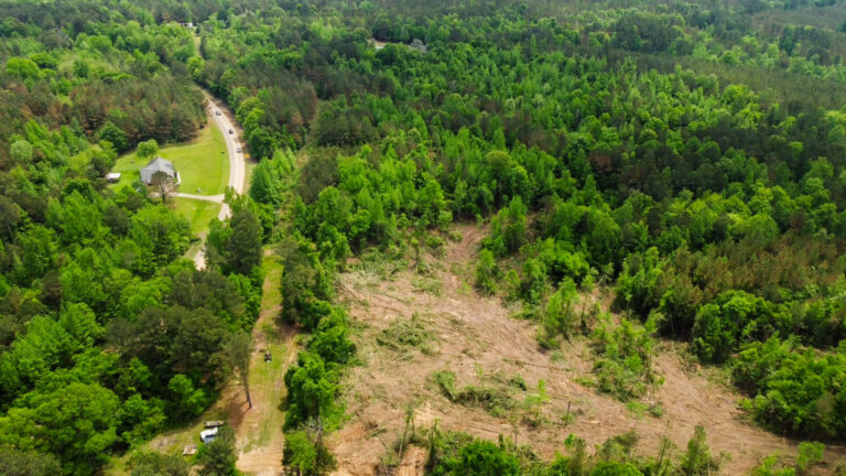 DCIM101MEDIADJI_0766