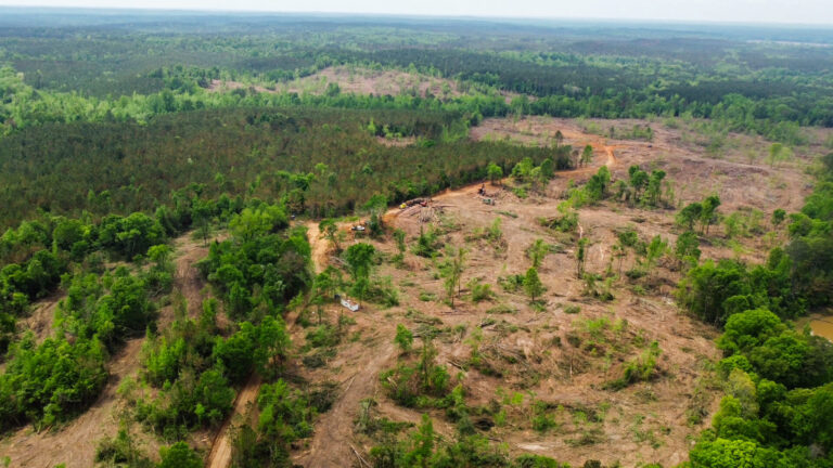 DCIM101MEDIADJI_0767