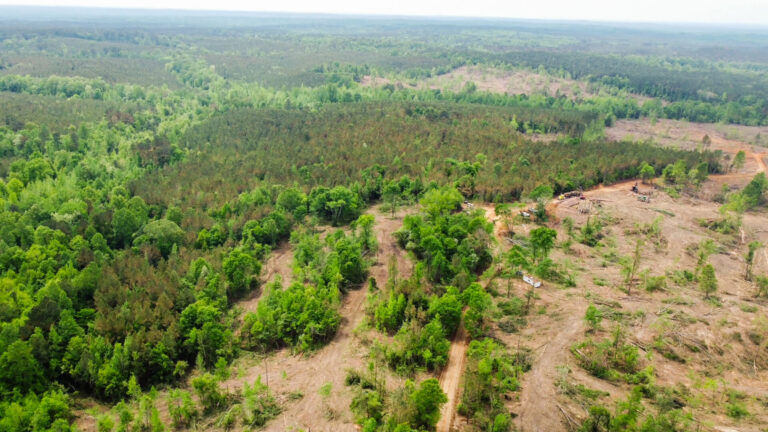 DCIM101MEDIADJI_0768