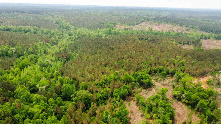 DCIM101MEDIADJI_0769