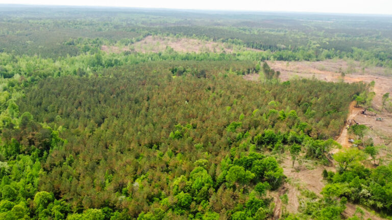 DCIM101MEDIADJI_0770