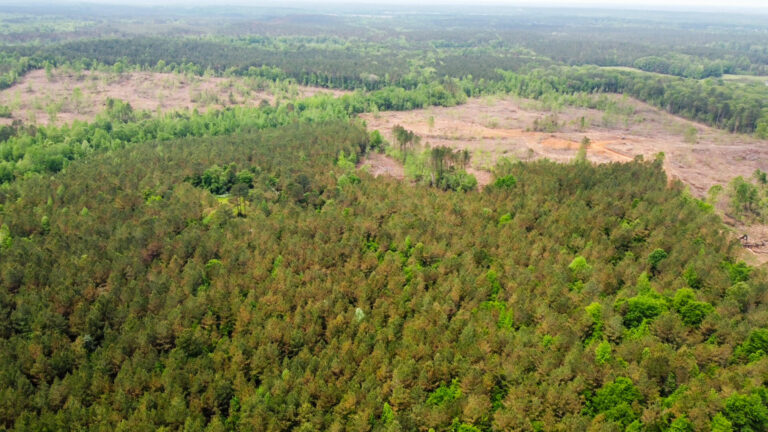 DCIM101MEDIADJI_0771