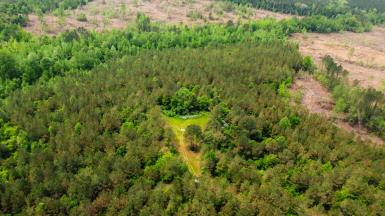 DCIM101MEDIADJI_0772