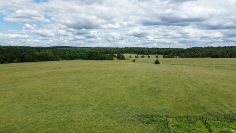 DCIM100MEDIADJI_0145