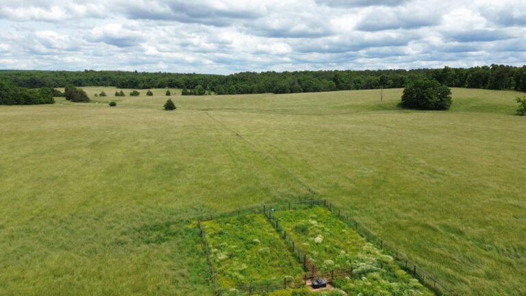 DCIM100MEDIADJI_0146