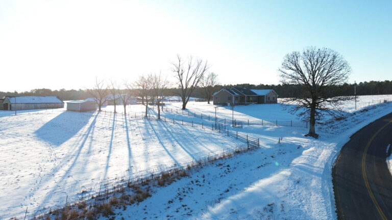 DCIM100MEDIADJI_0475